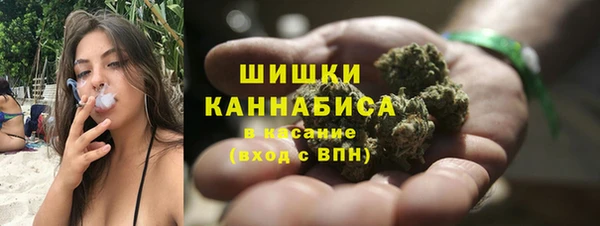 ГАЛЛЮЦИНОГЕННЫЕ ГРИБЫ Аркадак