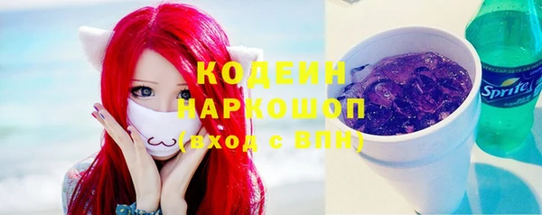 ГАЛЛЮЦИНОГЕННЫЕ ГРИБЫ Аркадак