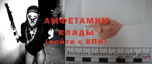 сатива Арсеньев