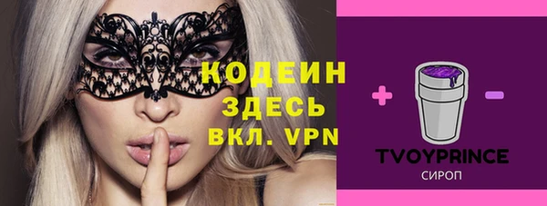 молекула духа Бердск