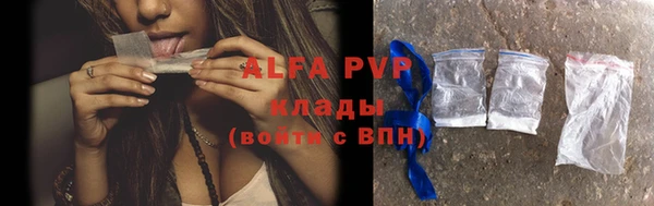 сатива Арсеньев