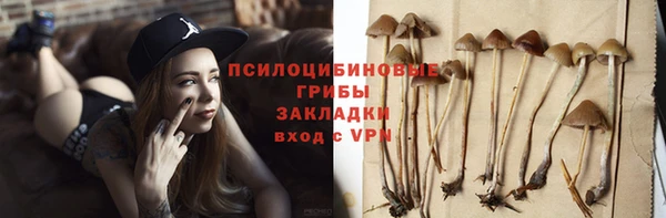 винт Ачинск