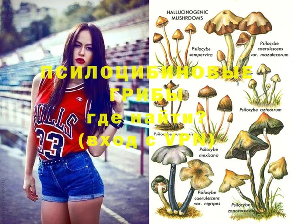 ГАЛЛЮЦИНОГЕННЫЕ ГРИБЫ Аркадак