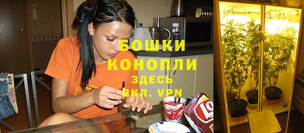 молекула духа Бердск