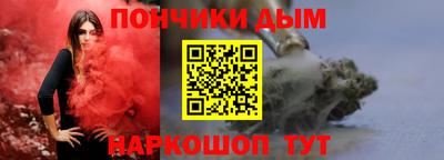 гидра Бердск