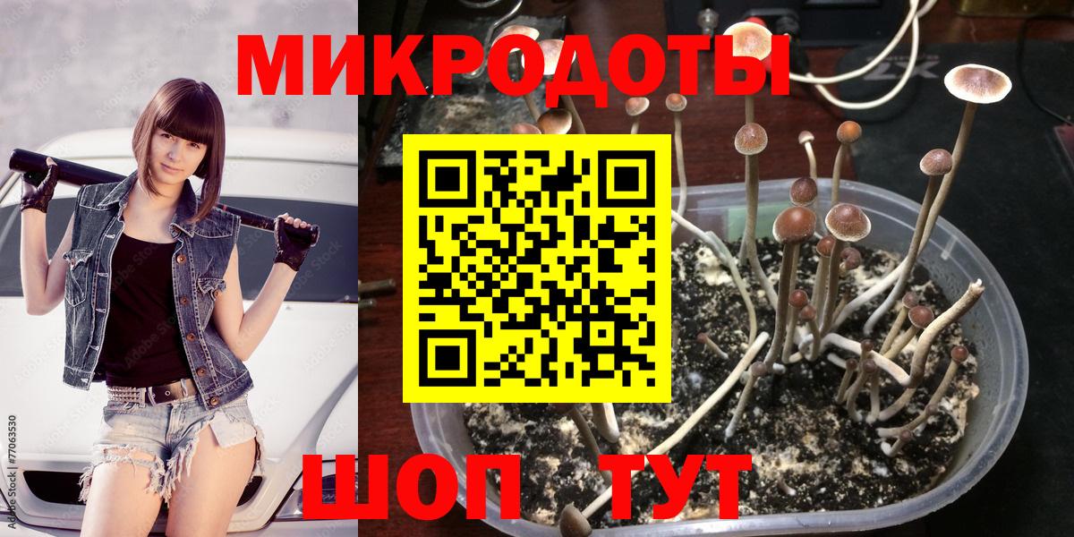Галлюциногенные грибы мицелий Белореченск