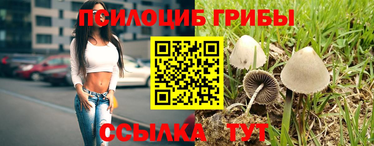 Белореченск  Псилоцибиновые грибы мицелий  Галлюциногенные грибы Magic Shrooms  Вход с VPN 